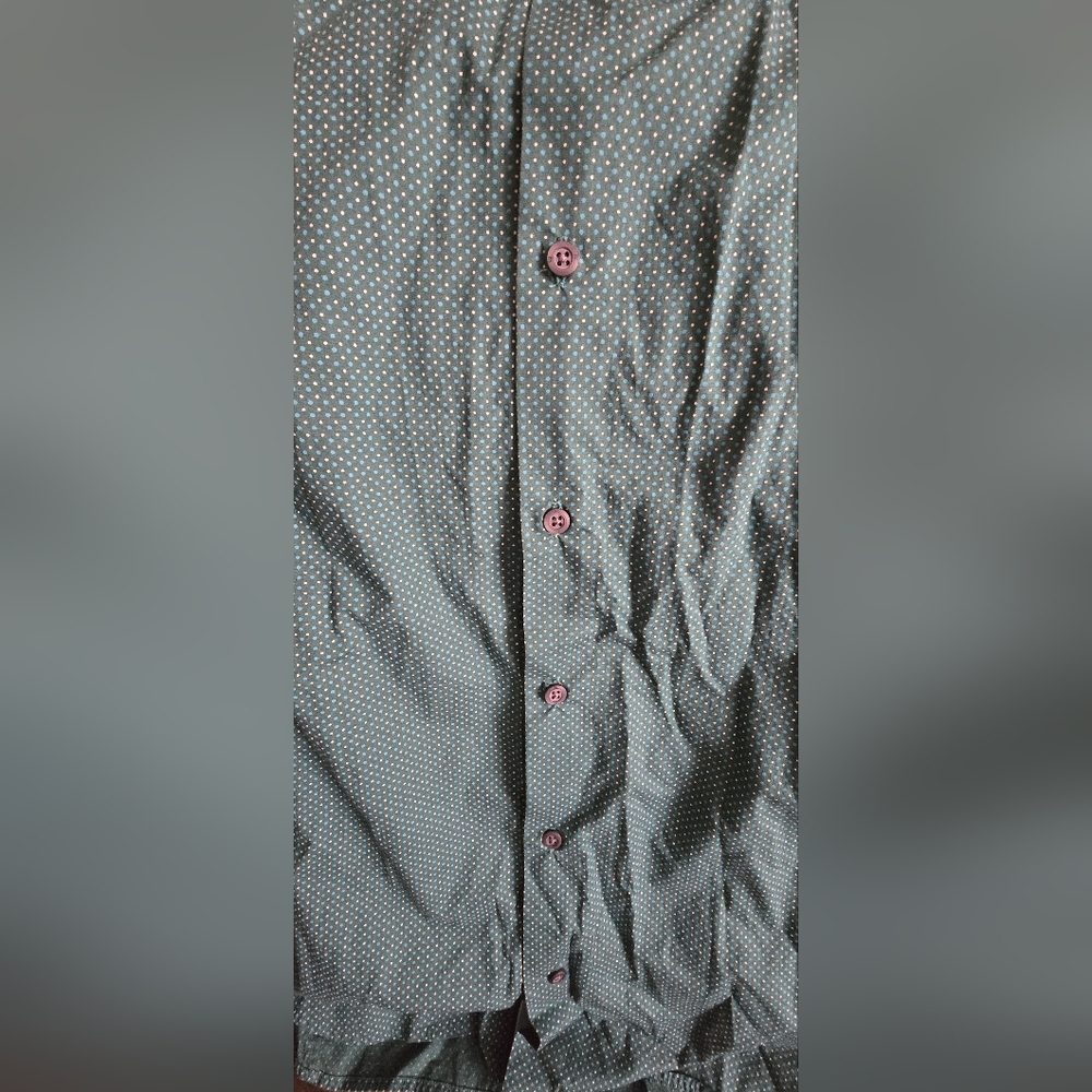 Banana Republic Collared Button Down Shirts - Picture 5 of 8